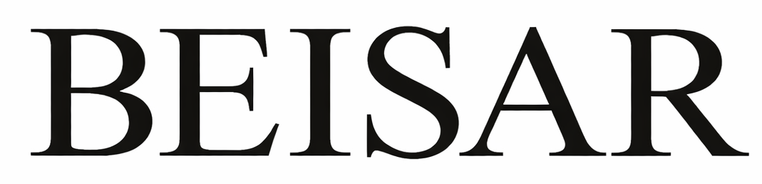 Beisar Prostate Massager – Ergonomic Anal Vibrator